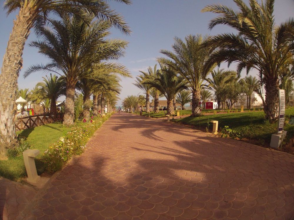 Club Palm Azur Families And Couples Hotel Aghīr Buitenkant foto